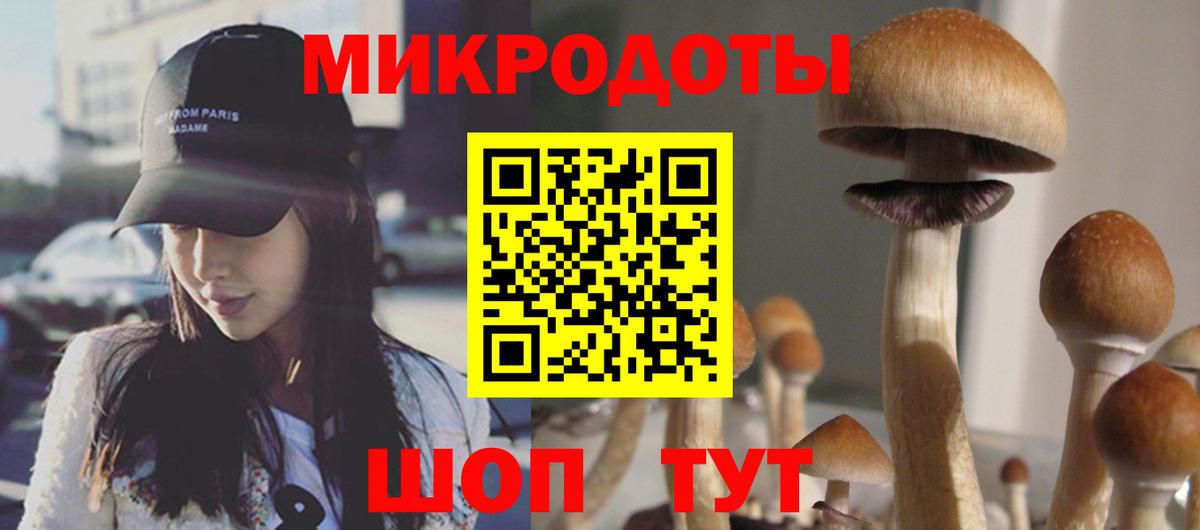 Псилоцибиновые грибы GOLDEN TEACHER Сланцы